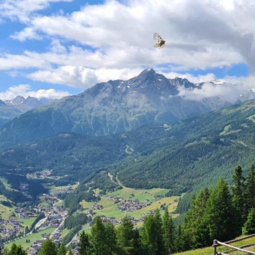 Wandertag zur Marias Alm