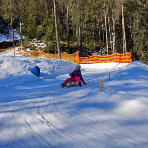 Rodeln in der Grantau