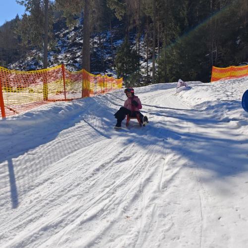 Rodeln in der Grantau