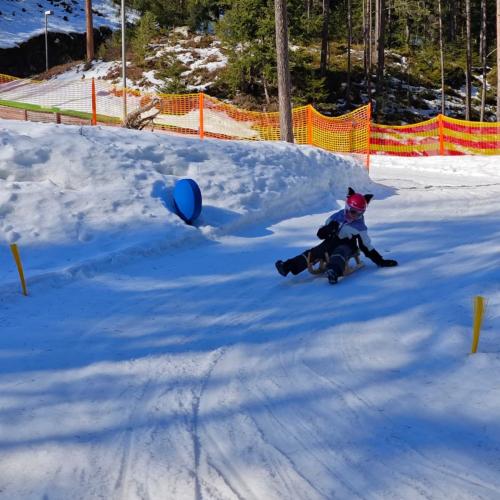 Rodeln in der Grantau