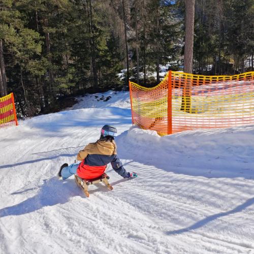 Rodeln in der Grantau