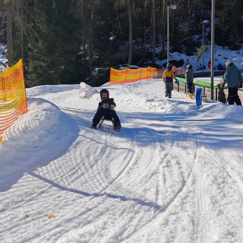 Rodeln in der Grantau