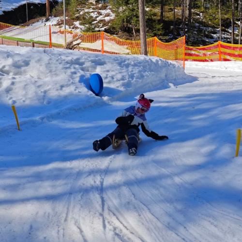 Rodeln in der Grantau