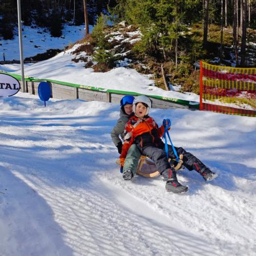 Rodeln in der Grantau