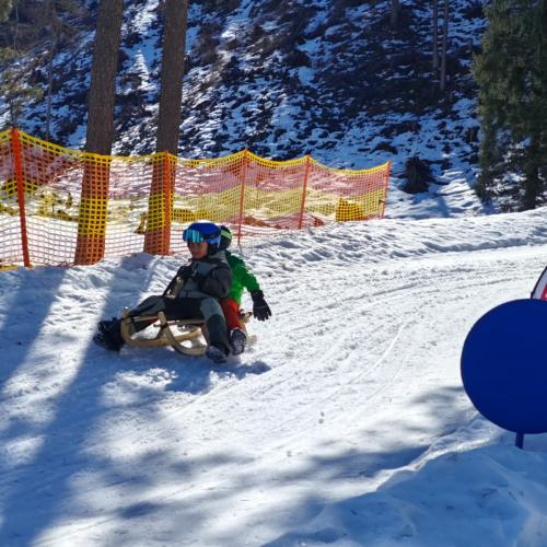 Rodeln in der Grantau