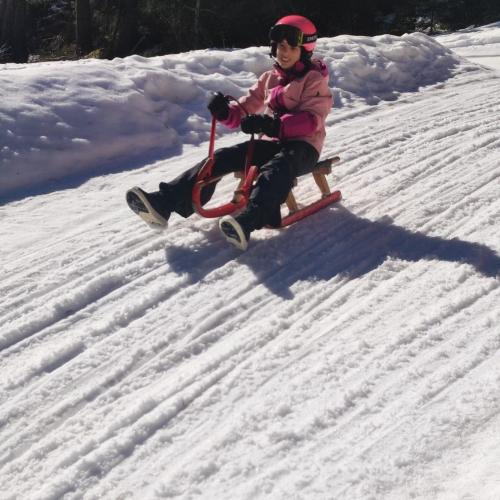 Rodeln in der Grantau